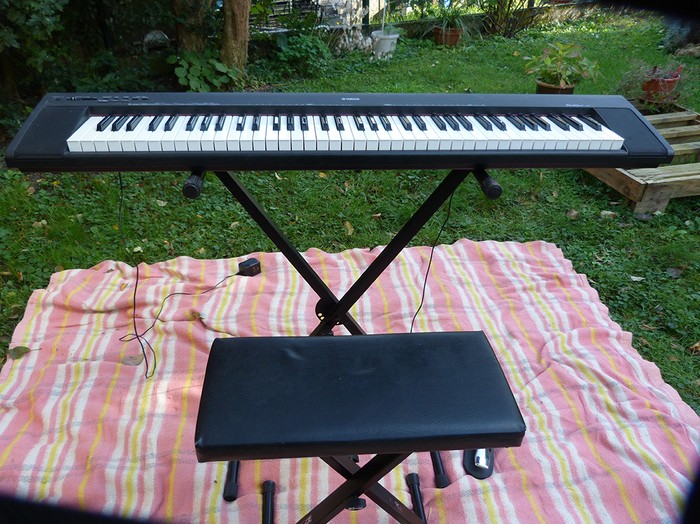 Yamaha NP 30 Image 2000734 Audiofanzine yamaha-np-30-image-2000734-audiofanzine