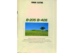 Yamaha Electone B 405 