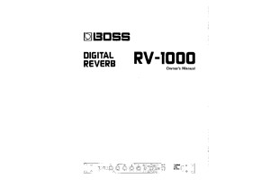 RV-1000 Manual