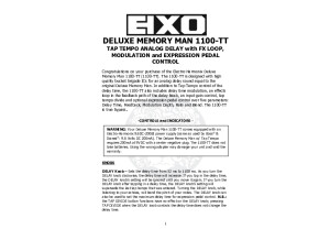 Deluxe Memory Man 1100-TT Manual