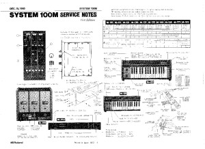 SYSTEM_100M_SERVICE_NOTES(1)