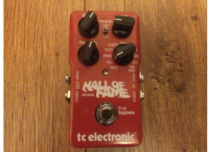 TC Electronic Hall of Fame Reverb (18559)