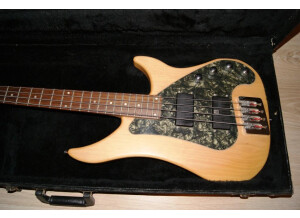 Vigier Excess I (6189)