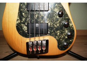 Vigier Excess I (5696)