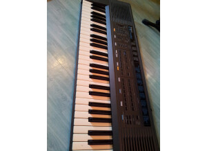 Roland e-5 (73609)