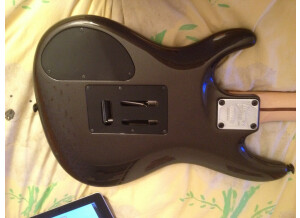 Ibanez JS1000 - Black Pearl