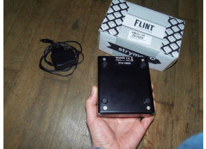 Strymon Flint (8293)