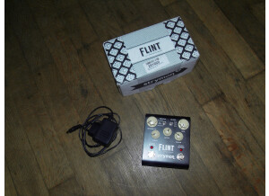 Strymon Flint (17070)