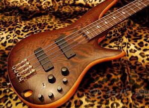 Ibanez SR5000E