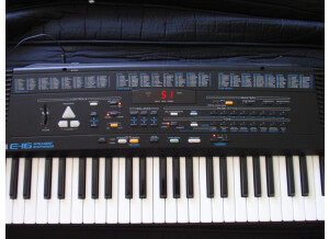 Roland E16
