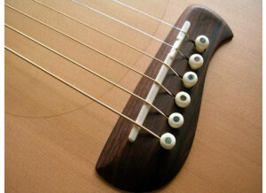 Tacoma Guitars papoose (17494)