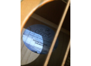 Seagull Entourage Rustic Grand (85080)