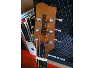 Olympia Guitars OMC1CE (43301)