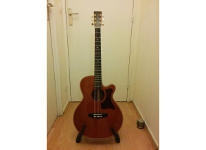 Tanglewood TW45 H B (95758)