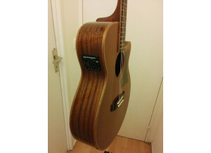 Tanglewood TW45 H B (30170)
