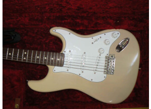 Fender stratocaster highway one