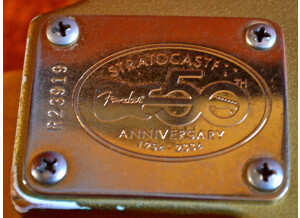 Fender Custom Shop Time Machine '65 Stratocaster Relic