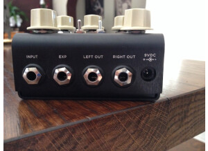 Strymon Flint (13565)