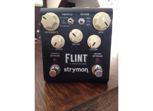 Strymon Flint (89809)