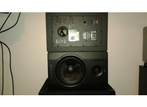 M-Audio BX8 D2 (44505)