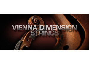 VSL Vienna Dimension Strings (80124)