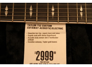 Taylor T5z Custom (93821)