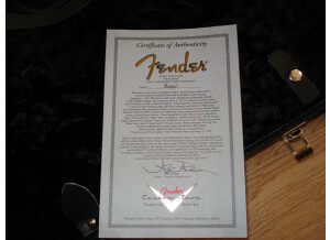 Fender Robin Trower Tribute