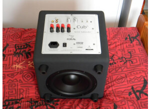 Focal Cub2 (108)