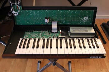 Dave Smith Instruments Pro 2 Dave Smith Instruments Pro 2