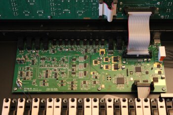 Dave Smith Instruments Pro 2 Dave Smith Instruments Pro 2