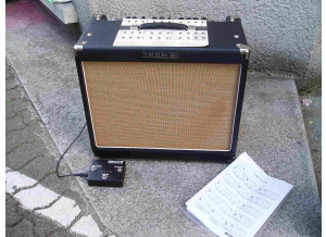 Tech 21 Trademark 60 1x12 (10546)