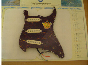 Fender micros Fender squier classic vibe 60