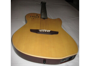 Godin Multiac Duet Steel (73042)