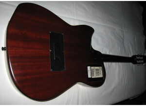 Godin Multiac Duet Steel (96983)