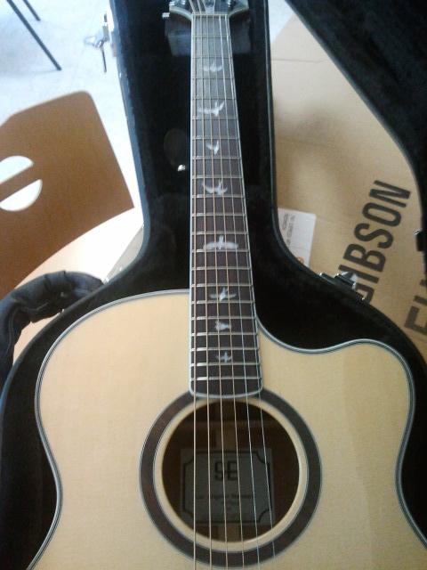 PRS SE Angelus Custom