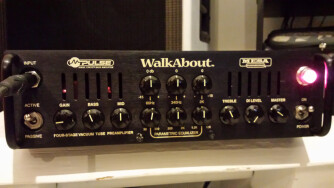 Mesa Boogie M-Pulse WalkAbout
