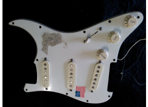 Fender Loaded Pickguard (71427)