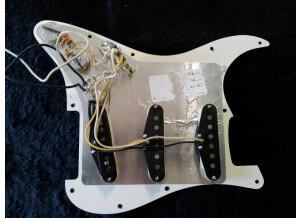 Fender Loaded Pickguard (60181)