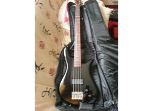 Spector NS 2 A