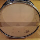 Export Radical 5 Shells Standard 22" Export Radical 5 Shells Standard 22"