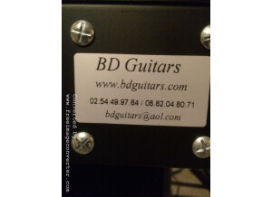 Custom Audio Electronics 3 + SE (41465)