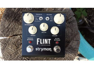 Strymon Flint (79033)