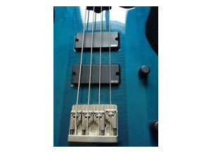 Godin BG-4 Bass (63744)