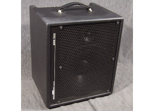 AER Amp Two (21793)