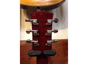 Gibson Les Paul Special (14920)