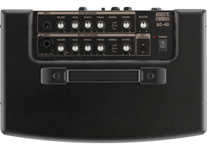 Roland AC-40 (74606)