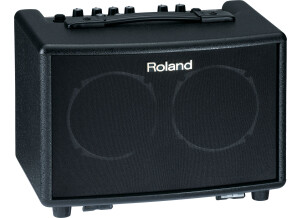 Roland AC-33 (22749)
