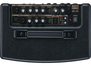 Roland AC-33 (87636)
