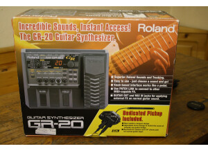 Roland RG 20