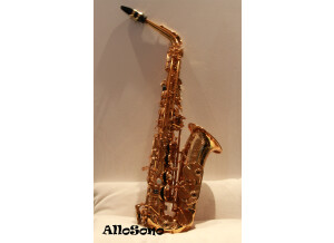 Selmer Reference 54 Alto (18238)